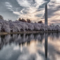 Washington Sunrise