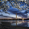 Bench with a view